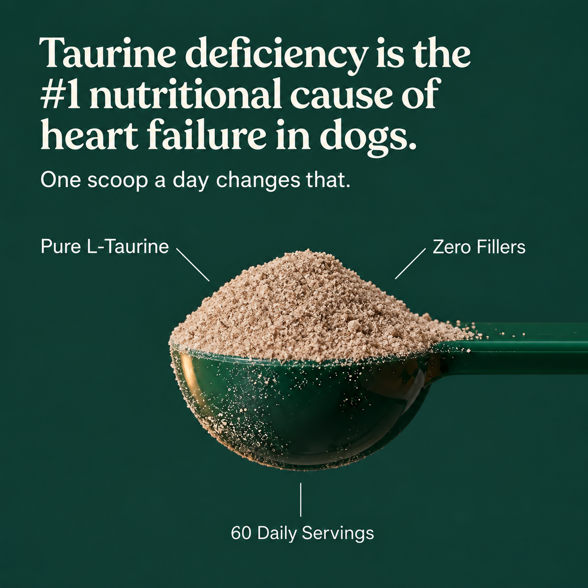 HappyDogs Taurine